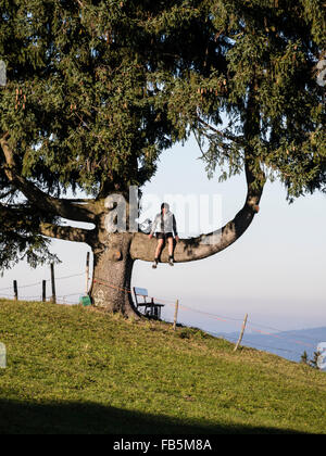 Einzigen großen Baum, junge sitzt auf gekrümmten Ast in der Nähe von Wertach, Allgäu, Bayern, Deutschland Stockfoto