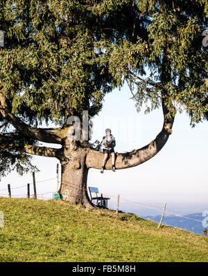 Einzigen großen Baum, junge sitzt auf gekrümmten Ast in der Nähe von Wertach, Allgäu, Bayern, Deutschland Stockfoto