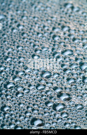 Luftblasen auf der Wasseroberfläche Stockfoto