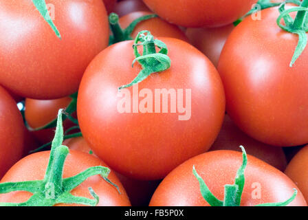 Cherry-Tomaten Studioaufnahme Stockfoto