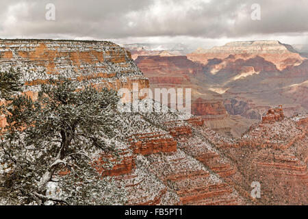 Schnee-bedeckten Klippen und Schluchten, von Rim Trail in der Nähe des Dorfes, Grand Canyon National Park, Arizona USA Stockfoto