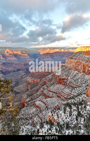 Verschneiten Klippen und Schluchten von Rim Trail im Village, Grand Canyon National Park, Arizona USA Stockfoto