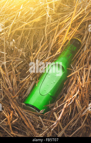 Bierflasche im Stapel von Heu. Ohne Label, grünes Glas Stockfoto