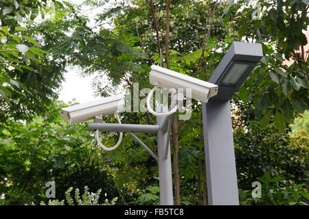 Zwei Überwachungskameras in entgegengesetzte Richtungen auf Baum Hintergrund suchen Stockfoto