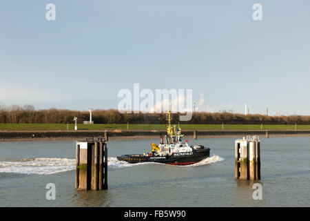 mehrere Schiffe, einschließlich Fracht und Barkassen in und um den Kanal von Terneuzen nach Gent Stockfoto