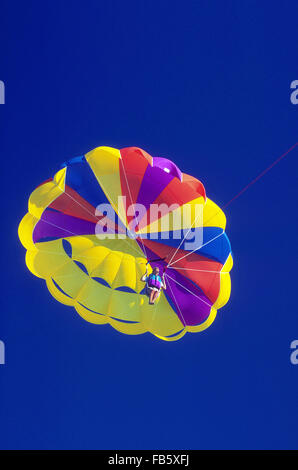 Weiblichen Urlauber im Urlaub auf den Florida Keys nimmt eine mehrfarbige Parasailing Fahrt hoch am blauen Himmel in Islamorada, Florida, USA. Stockfoto