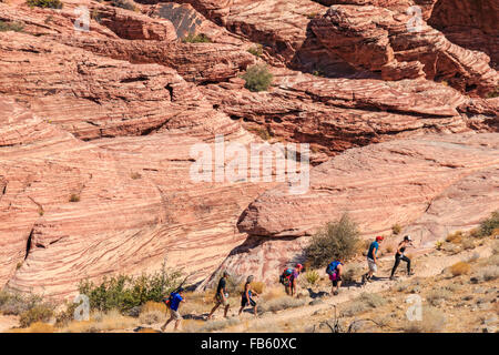 Wanderer zwischen den roten Felsen von Calico-1-Gebiet in der Calico Hills von Red Rock Canyon National Conservation Area Stockfoto