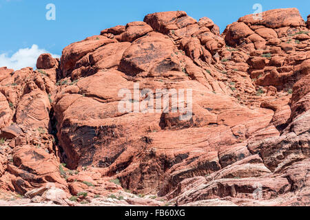 Kletterer skalieren die rote Felsen von Calico-1-Gebiet in der Calico Hills von Red Rock Canyon National Conservation Area Stockfoto