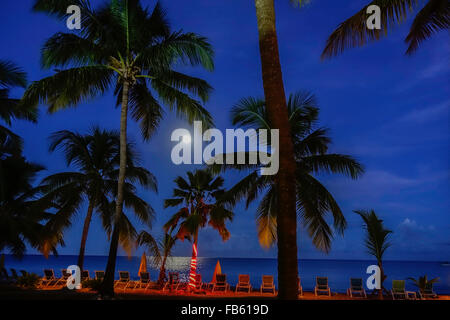 ein Vollmond kämpft sich durch die Wolken über dem karibischen Meer. Ein Palm-Baum-Strand-Szene. St. Croix, Amerikanische Jungferninseln. USVI, U.S.V.I. Stockfoto