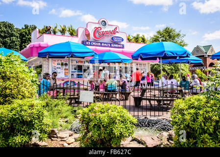 Karussell gefroren behandelt, 346 Waterloo Street, Warrenton, Virginia Stockfoto