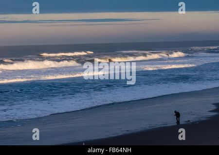 Beachcomber zu Fuß entlang der Küste auf der Suche nach Fundstücken, Oregon, USA Stockfoto