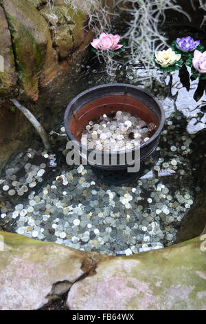 Wollen gut Teich mit Silbermünzen unter Wasser Stockfoto