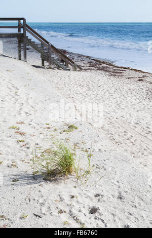 Vero Beach, FL, USA. Dem Rasen am Sandstrand mit Blick auf einem Holzsteg. Stockfoto