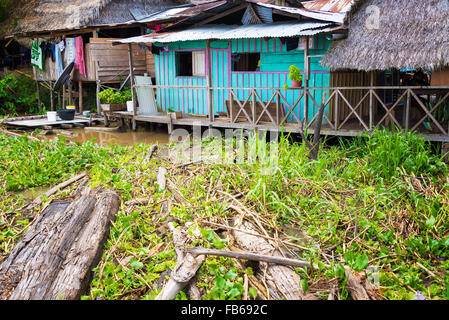 Lila und Petrol / Hütte am Ufer des Amazonas-Flusses in der Nähe von Leticia, Kolumbien Stockfoto