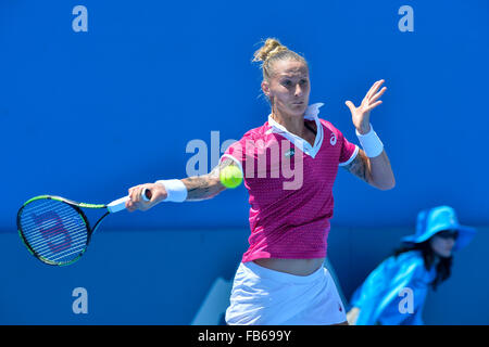 Sydney, Australien. 11. Januar 2016. Polona Hercog (SLO) in Aktion gegen Sabine Lisicki (GER) während ihre Frauen Singles match am 2. Tag bei Apia International Sydney. Bildnachweis: Action Plus Sport Bilder/Alamy Live News Stockfoto