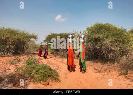 Dhebaria Rabari Stamm Wasser Frauen, die Töpfe, Distrikt Kutch, Gujarat, Indien Stockfoto