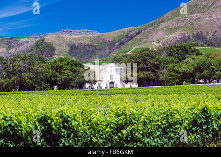 Das Haupthaus und Weinberge von Groot Constantia in Kapstadt, Südafrika Stockfoto