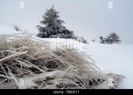 Hochgebirgs-Schneesturm Stockfoto