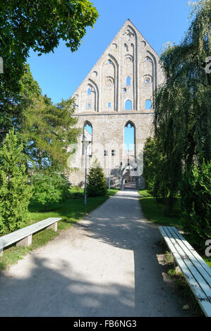 Die Ruinen von Pirita Kloster/Kloster gewidmet St. Bridget, Tallinn, Estland Stockfoto