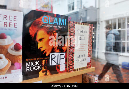 Brighton, UK. 11. Januar 2016. Glam! Ein Augenzeugenbericht von Mick Rock mit einem vorderen Abdeckung Foto von David Bowie die hat einen RIP-Aufkleber hinzugefügt im Fenster PS Brighton Buchhandlung in der North Laine-Viertel der Stadt, nach seinem Tod heute Credit angekündigt wurde: Simon Dack/Alamy Live News Stockfoto