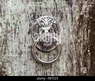 Türklopfer in Form eines Löwenkopfes Stockfoto