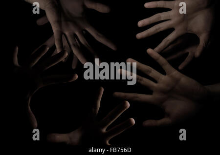 Palmen im Dunkeln Stockfoto