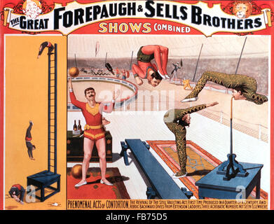 Zeigt große Wirtschaftswissenschaftler und Sells Brothers kombinierte, phänomenale Handlungen der Kontorsion, Zirkus-Poster, um 1900 Stockfoto