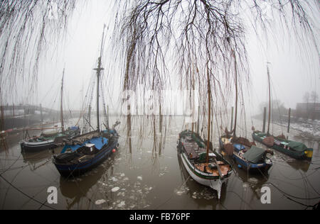 Hamburg, Deutschland. 11. Januar 2016. Historische Segelschiffe abgebildet in dichtem Nebel und bei niedrigem Wasserstand zwischen Eisschollen im Musée Övelgönne Hafen in Hamburg, Deutschland, 11. Januar 2016. Foto: CHRISTIAN CHARISIUS/Dpa/Alamy Live News Stockfoto