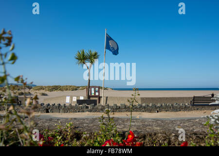 Europäische Blaue Flagge Strand 2015 bei Barmouth Nordwales Gwynedd Wales UK Stockfoto