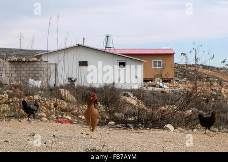 ESH Kodesh, West Bank. 11. Januar 2016. Temporäre Häuser im Esh Kodesh israelischen Außenposten im Westjordanland in der Nähe von Shilo, unter der Jurisdiktion des Regionalrats Mateh Binyamin. Die Siedlung wurde 1999 gegründet und beherbergt heute rund 40 Familien, die es einer nicht autorisierten Gemeinschaft von Shilo betrachten, in den Prozess der immer offiziell autorisiert. Stockfoto