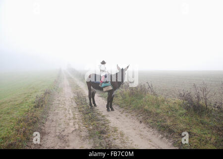 Mädchen reiten Esel auf Schotterstraße inmitten Feld bei nebligen Wetter Stockfoto