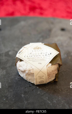 Clifton Leaf ist ein nicht pasteurisierte, vegetarisch, halbfestem Käse aus Ziegenmilch hergestellt. Eine Form gereifte Käse. Innes Stockfoto