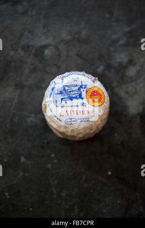 Crottin de Chavignol ist der wohl bekannteste Ziegenkäse der vielen Sorten produziert im Loire-Tal Stockfoto