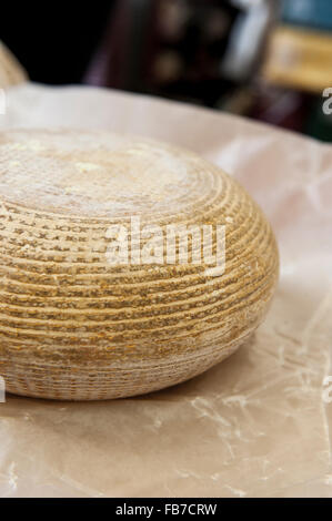 Rachel Ziegenkäse produziert von White Lake in Somerset, England Stockfoto