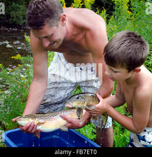 Vater und Sohn halten eine Forelle und einem Sauger Fische über einen Eimer im Sommer Stockfoto