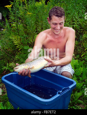 Mann hält eine Forelle über einen Eimer im Sommer Stockfoto