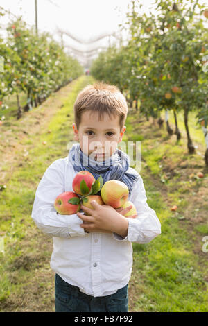 Porträt des netten jungen halten Äpfel am Obstgarten Stockfoto