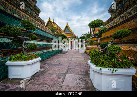 Die historischen Wat Pho buddhistischer Tempel in Bangkok, Thailand. Stockfoto