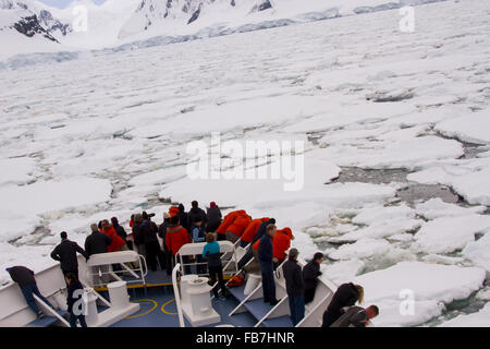 Antarktische Halbinsel - 11. Dezember 2015: Passagiere auf Kreuzfahrtschiff Feld des Packeises entlang der Küste der Antarktis Penin Stockfoto