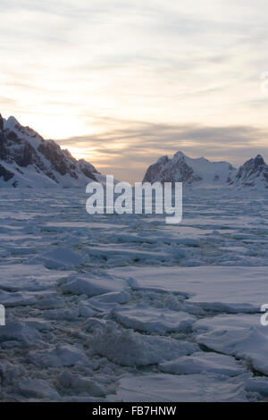 Sommer Sonnenuntergang über Pack Eisfeld in der Antarktis. Stockfoto