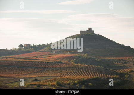 22.10.15 Fluss Ebro und Davalillo Schloss mitten in Weinbergen, in der Nähe von San Asensio, La Rioja, Spanien Stockfoto