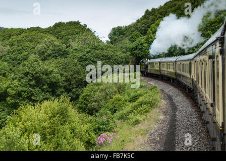 Dartmouth Steam Railway, Dartmouth, Devon, England, Vereinigtes Königreich. Stockfoto