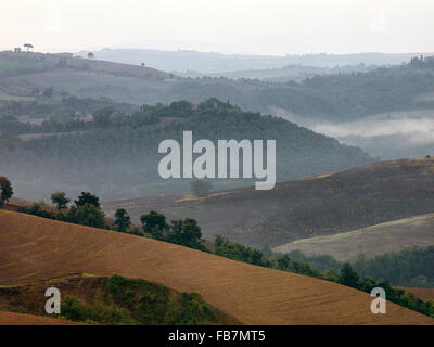 Mutted mit Blick auf die nördliche italienische Landschaft im Morgennebel. Stockfoto