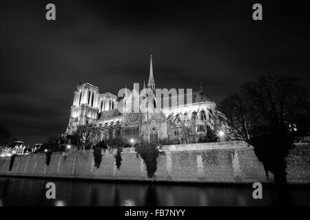 Eine schöne Nachtaufnahme der Kathedrale Notre Dame entlang der Seine in Paris Frankreich. Stockfoto