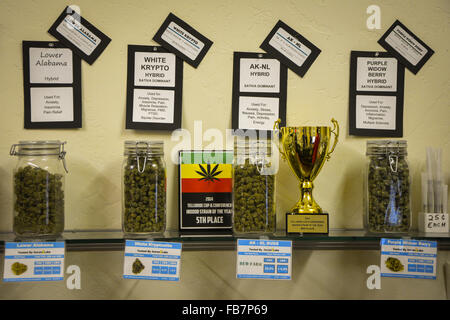 Verkauf legal Marihuana / Cannabis in Colorado, USA Stockfoto