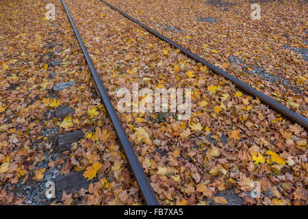 Gleis und Laub in Saco, Maine Stockfoto