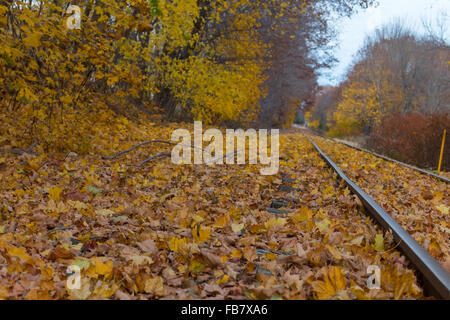 Gleis und Laub in Saco, Maine Stockfoto