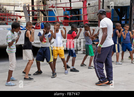 Jungs in Boxen Klasse bei Rafael Trejo Gym, Havanna, Kuba Stockfoto