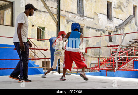 Jungen sparring Boxen Klasse bei Rafael Trejo Gym, Havanna, Kuba Stockfoto