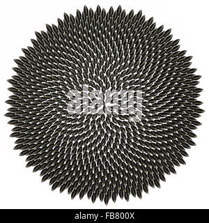 Lizenzfreie kostenlose Clipart Illustration 3d Fibonacci goldenen Schnitt Kreis von Sonnenblumenkernen, auf einem weißen Hintergrund. Stockfoto